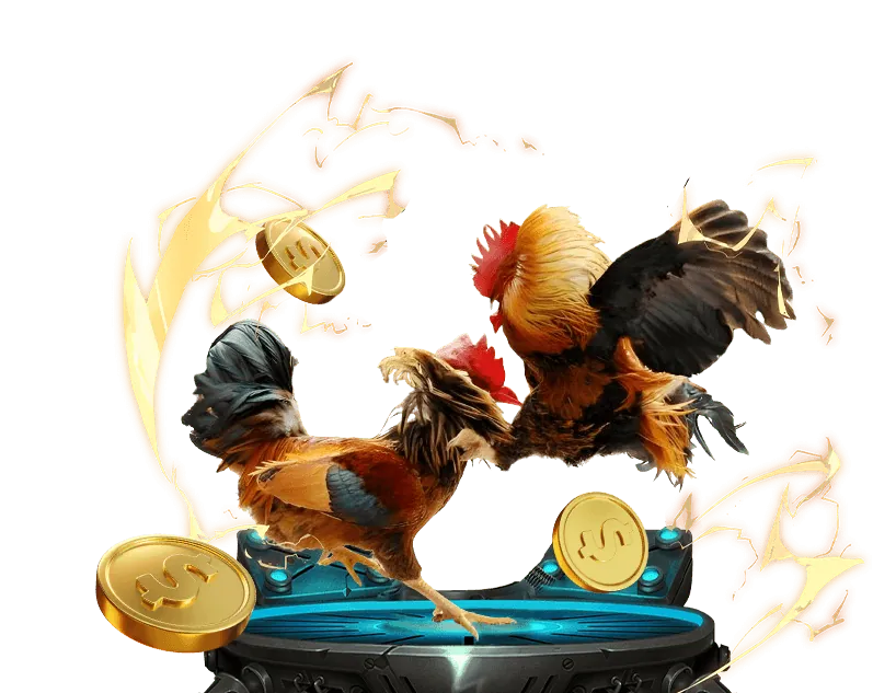 Giới thiệu thương hiệu Five88